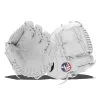 Valle Gloves LLC Valle Eagle 8" Infield Training Glove -Baseball Gloves Shop c992 03 23 valle eagle 8 infield training glove 8s 36556 1 l