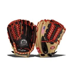 Rawlings Custom Glove -Baseball Gloves Shop d746 06 18 rawlings custom glove 1 l
